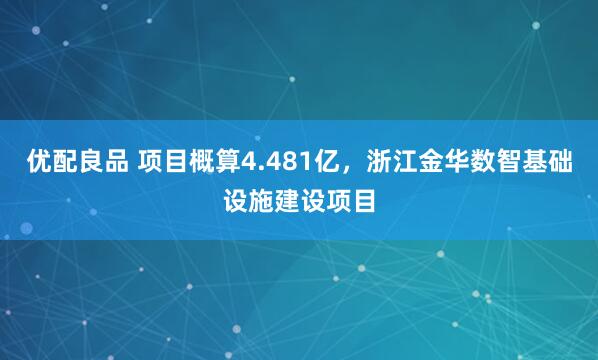 优配良品 项目概算4.481亿，浙江金华数智基础设施建设项目
