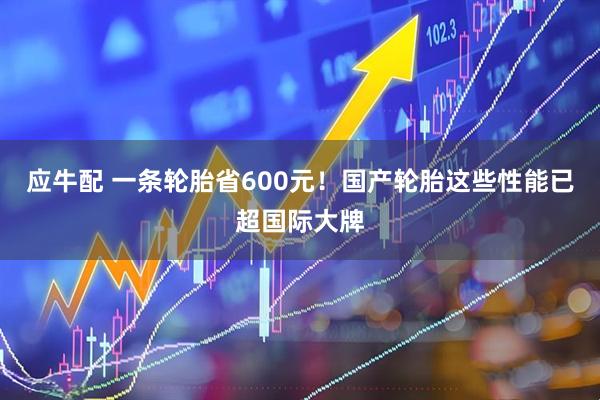 应牛配 一条轮胎省600元！国产轮胎这些性能已超国际大牌