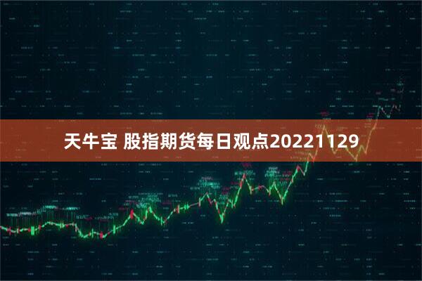 天牛宝 股指期货每日观点20221129