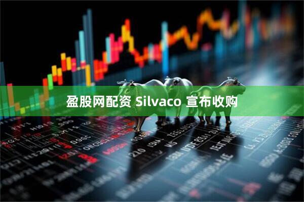 盈股网配资 Silvaco 宣布收购