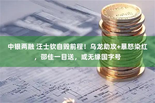 中银两融 汪士钦自毁前程！乌龙助攻+暴怒染红，邵佳一目送，或无缘国字号