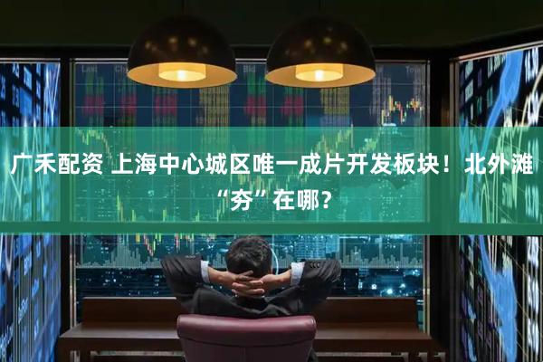 广禾配资 上海中心城区唯一成片开发板块！北外滩“夯”在哪？